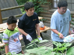 CIMG0061 - コピー - コピー - コピー - コピー