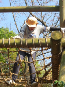 IMG_3260 - コピー