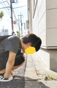 アリの巣をのぞきこむ